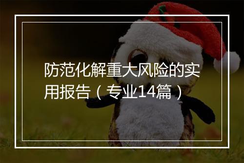 防范化解重大风险的实用报告（专业14篇）