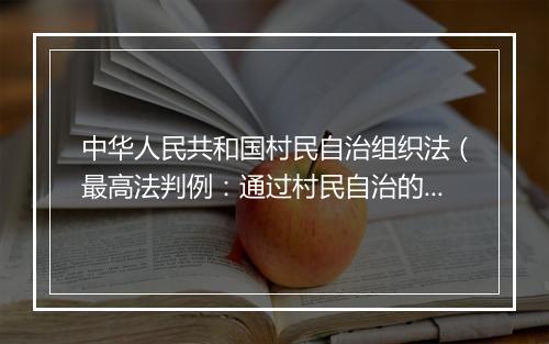 中华人民共和国村民自治组织法（最高法判例：通过村民自治的方式侵害村民的合法权益，村民如何进行救济？）