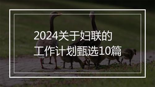 2024关于妇联的工作计划甄选10篇
