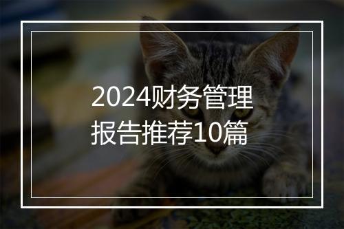 2024财务管理报告推荐10篇