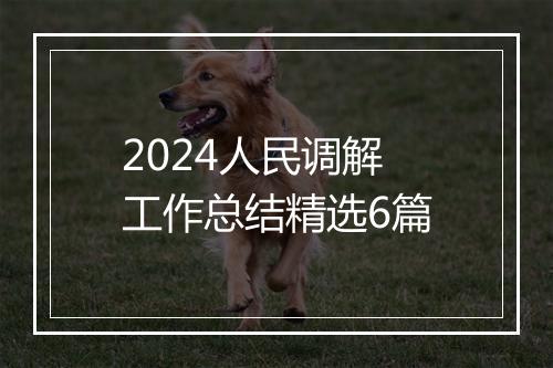 2024人民调解工作总结精选6篇
