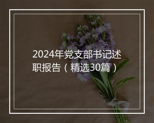 2024年党支部书记述职报告（精选30篇）