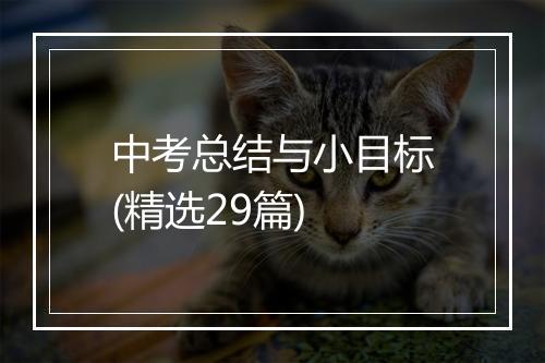 中考总结与小目标(精选29篇)