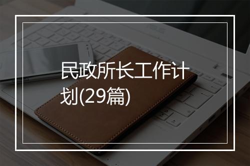 民政所长工作计划(29篇)