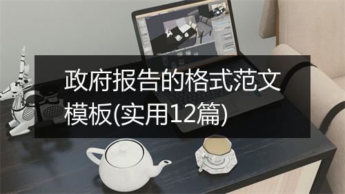 政府报告的格式范文模板(实用12篇)
