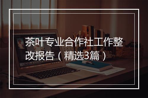 茶叶专业合作社工作整改报告（精选3篇）