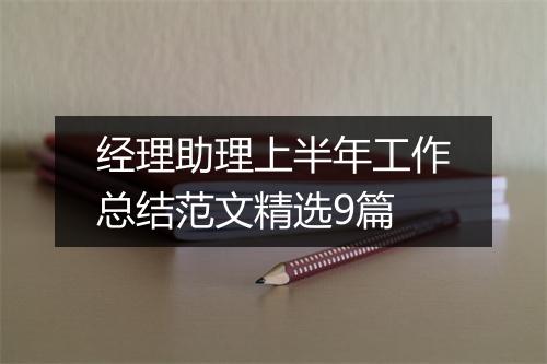 经理助理上半年工作总结范文精选9篇