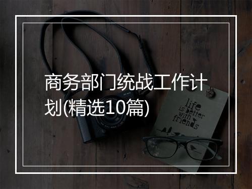 商务部门统战工作计划(精选10篇)