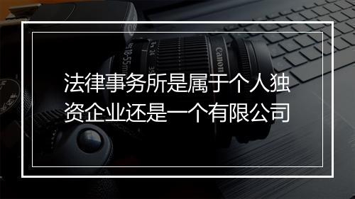 法律事务所是属于个人独资企业还是一个有限公司
