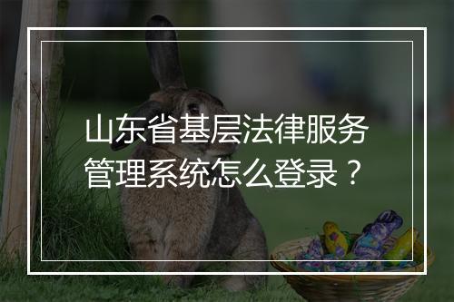 山东省基层法律服务管理系统怎么登录？