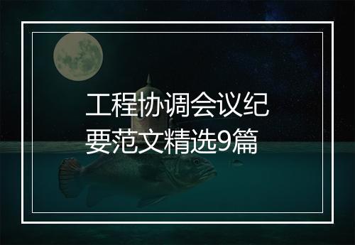 工程协调会议纪要范文精选9篇