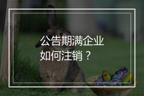 公告期满企业如何注销？
