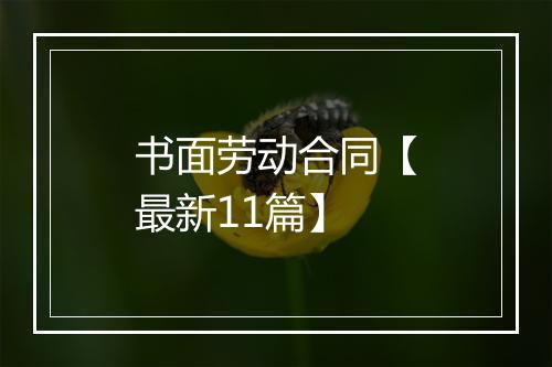 书面劳动合同【最新11篇】
