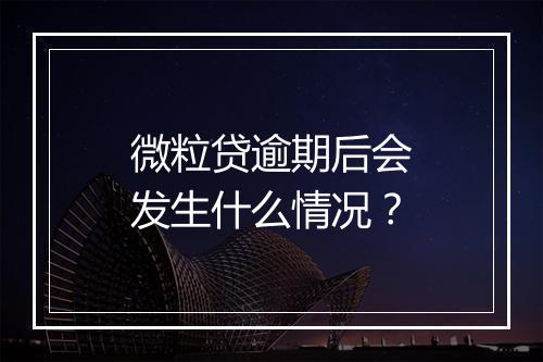 微粒贷逾期后会发生什么情况？