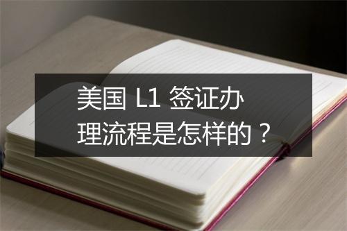 美国 L1 签证办理流程是怎样的？