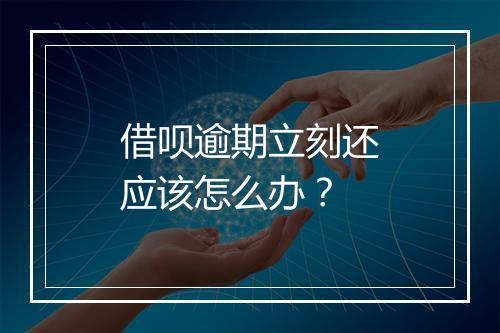 借呗逾期立刻还应该怎么办？