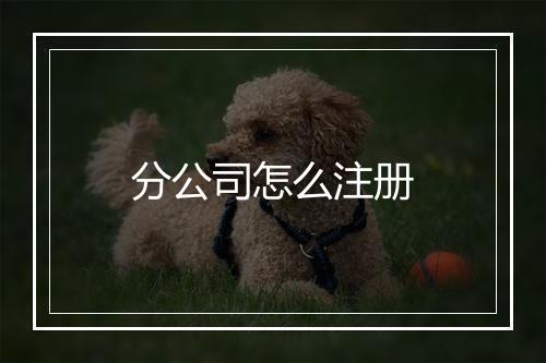 分公司怎么注册