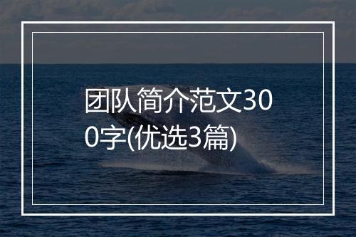 团队简介范文300字(优选3篇)