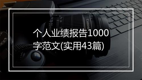 个人业绩报告1000字范文(实用43篇)