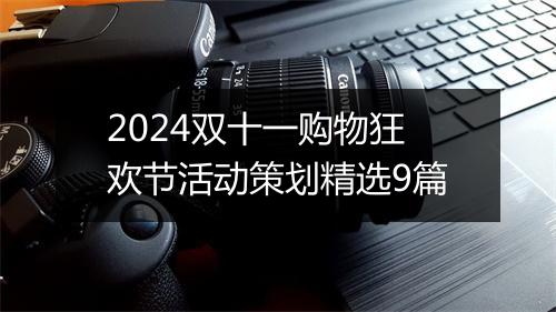 2024双十一购物狂欢节活动策划精选9篇
