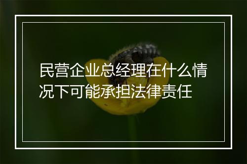 民营企业总经理在什么情况下可能承担法律责任