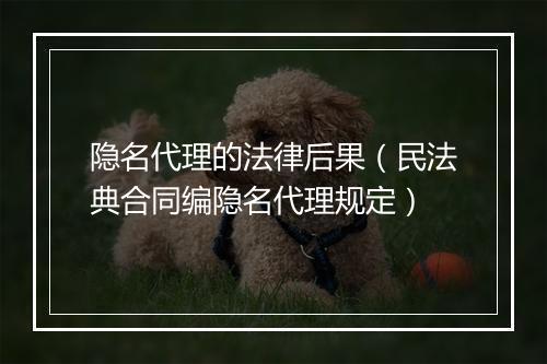 隐名代理的法律后果（民法典合同编隐名代理规定）