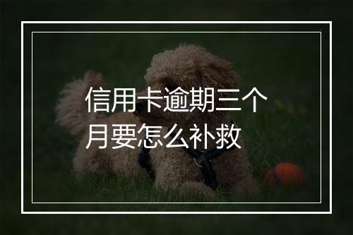 信用卡逾期三个月要怎么补救