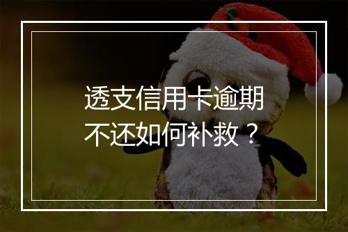 透支信用卡逾期不还如何补救？