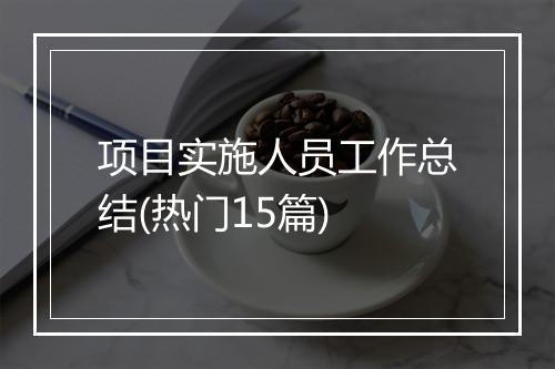 项目实施人员工作总结(热门15篇)