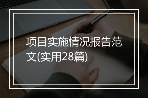 项目实施情况报告范文(实用28篇)