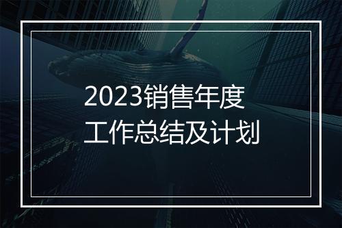 2023销售年度工作总结及计划