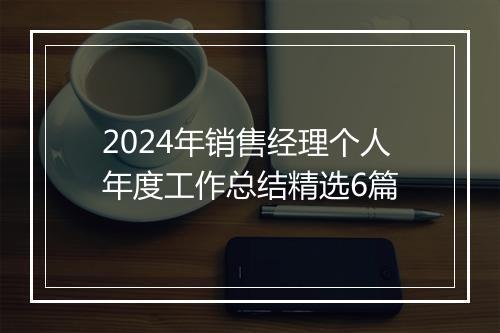 2024年销售经理个人年度工作总结精选6篇