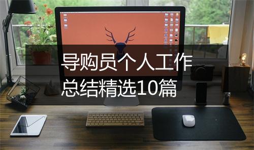 导购员个人工作总结精选10篇