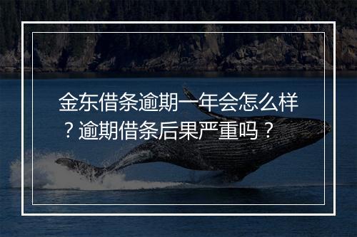 金东借条逾期一年会怎么样？逾期借条后果严重吗？