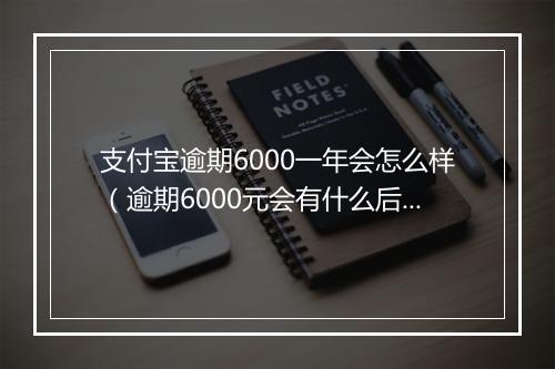 支付宝逾期6000一年会怎么样（逾期6000元会有什么后果）
