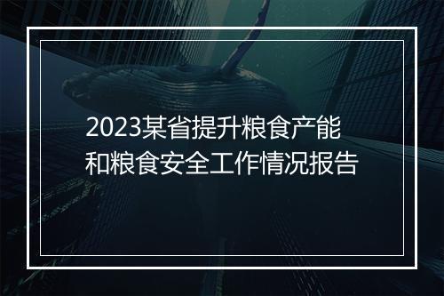 2023某省提升粮食产能和粮食安全工作情况报告