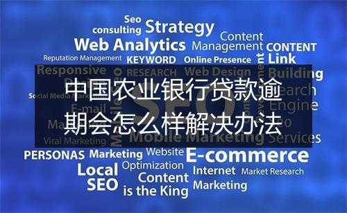 中国农业银行贷款逾期会怎么样解决办法
