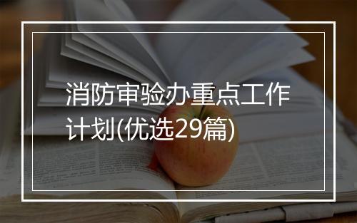 消防审验办重点工作计划(优选29篇)