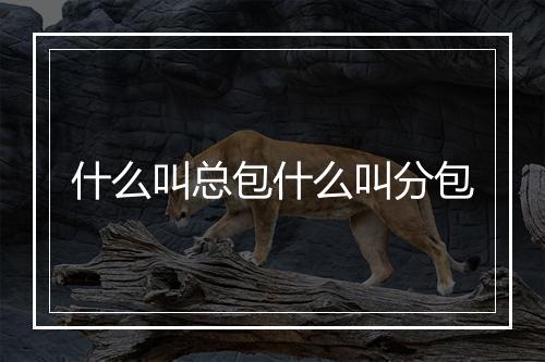 什么叫总包什么叫分包