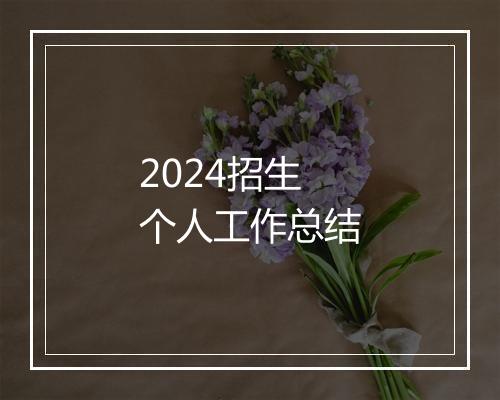 2024招生个人工作总结