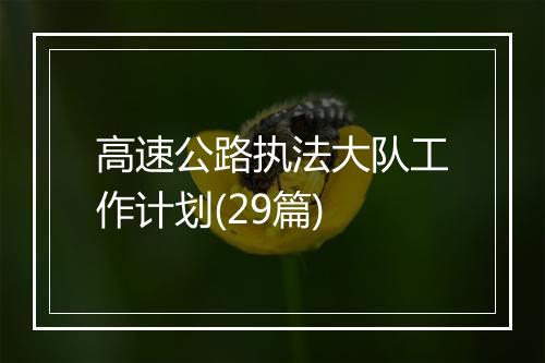 高速公路执法大队工作计划(29篇)