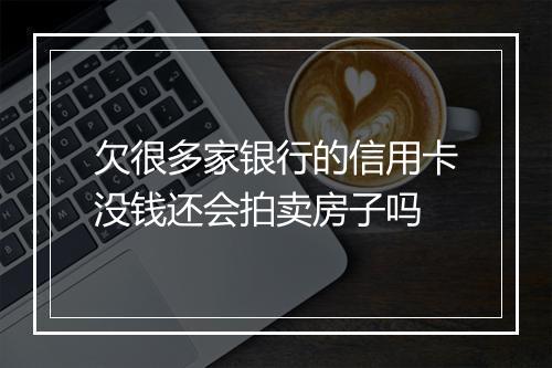 欠很多家银行的信用卡没钱还会拍卖房子吗