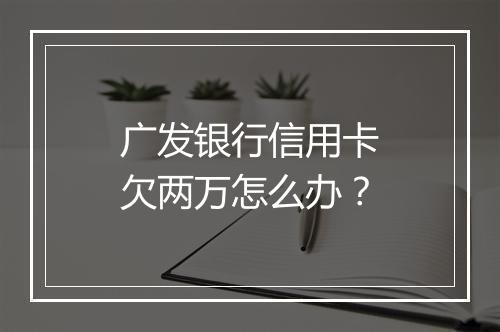 广发银行信用卡欠两万怎么办？