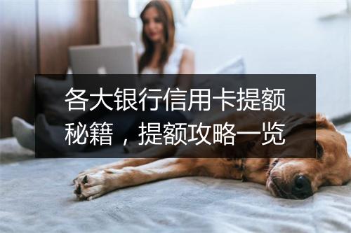 各大银行信用卡提额秘籍，提额攻略一览
