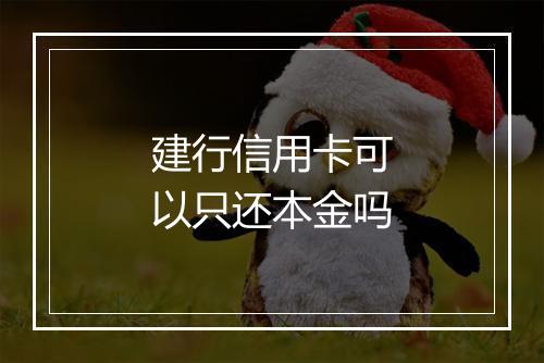 建行信用卡可以只还本金吗
