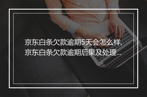 京东白条欠款逾期5天会怎么样,京东白条欠款逾期后果及处理办法