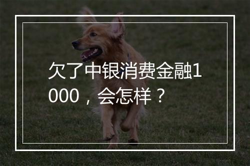 欠了中银消费金融1000，会怎样？