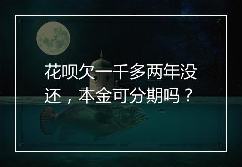 花呗欠一千多两年没还，本金可分期吗？