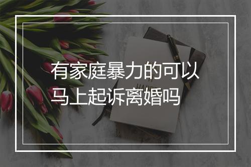 有家庭暴力的可以马上起诉离婚吗