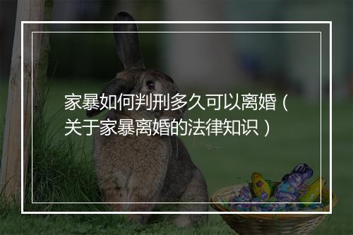 家暴如何判刑多久可以离婚（关于家暴离婚的法律知识）